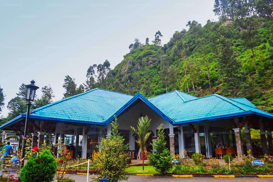 Visit Bluefield Tea Factory